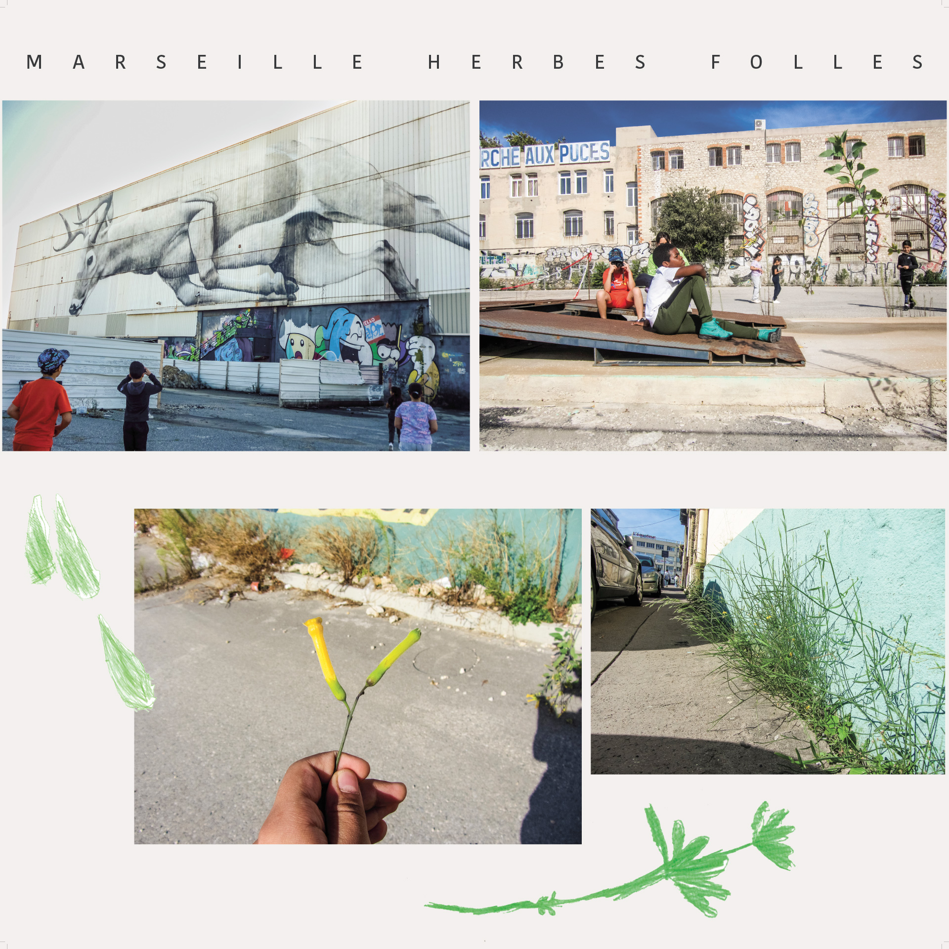 2024 « Marseille herbes folles »
Quartier La Cabucelle (panneaux extrait)